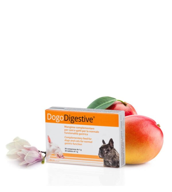 DogoDigestive