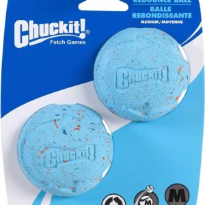 Chuckit Medium Rebounce loptica