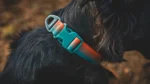 Ruffwear