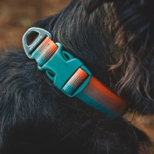 Ruffwear