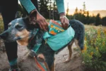 ruffwear