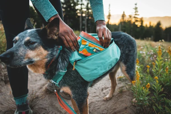 ruffwear
