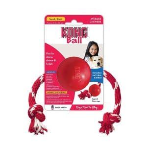 kong