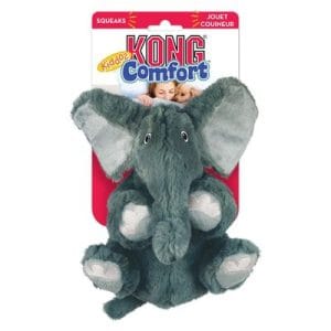 kong