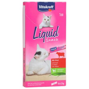 liquid snack