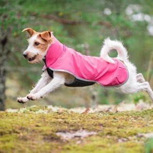 sporttipomppa