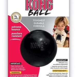 kong