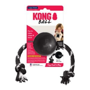 kong